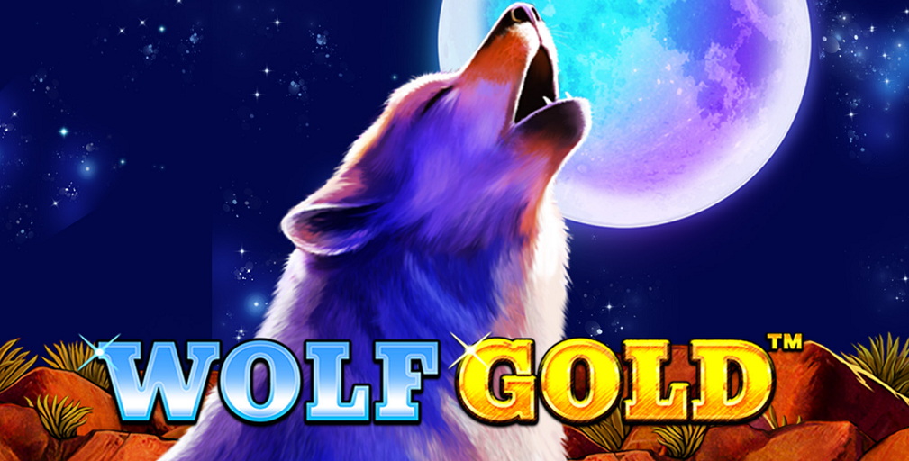 Wolf Gold at Rocket Play Casino